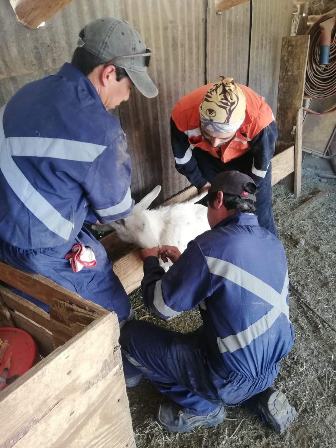 ?Salida a Terreno de los estudiantes de TNS Veterinaria del IV semestre. 